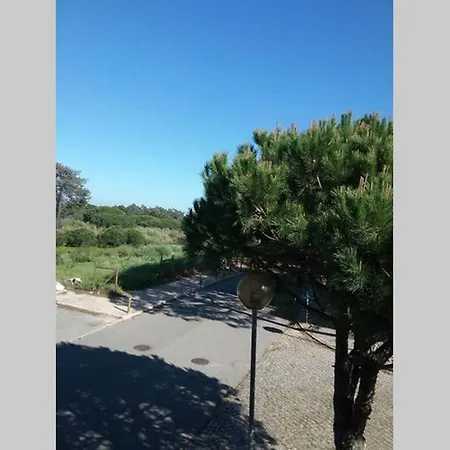 Vila Verde